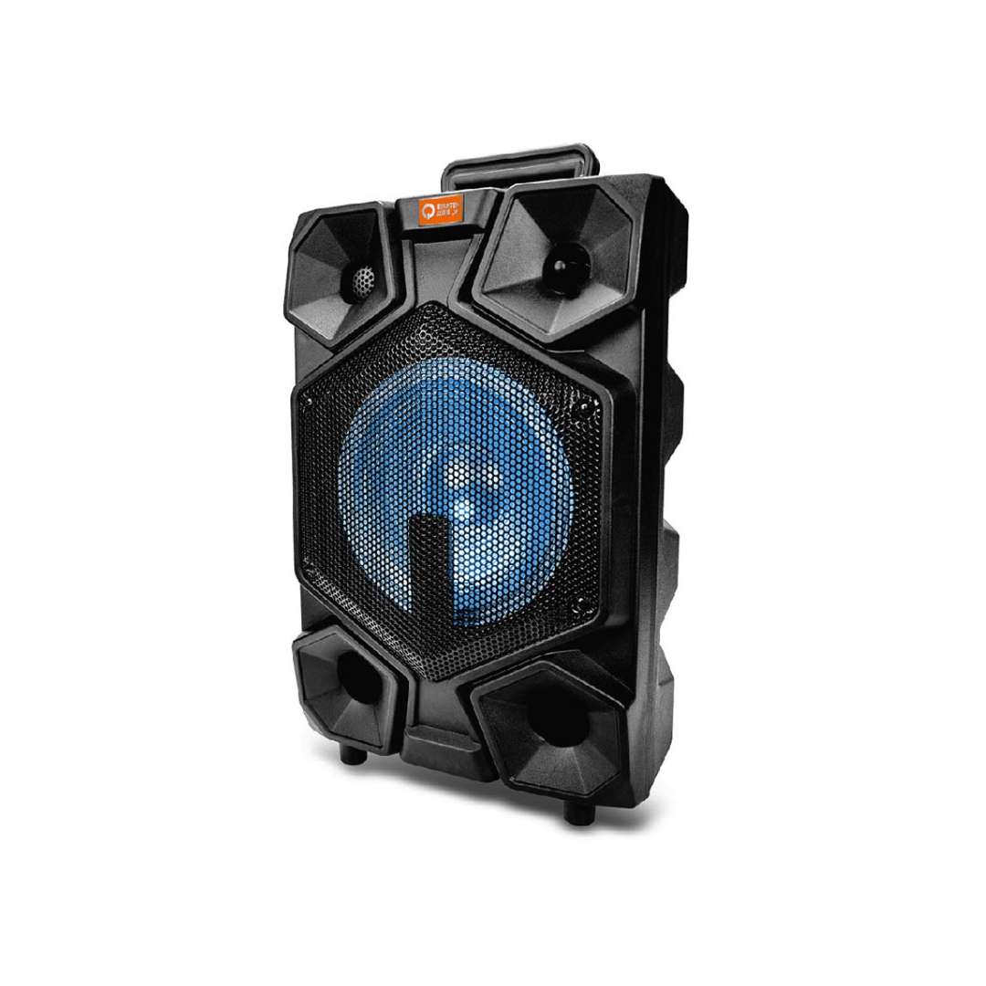 Quantum Audio Portable Speaker System